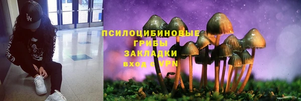 твердый Белоозёрский