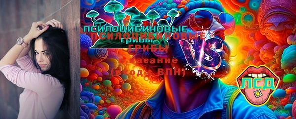 твердый Белоозёрский