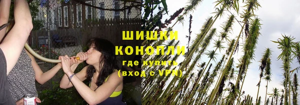 трава Беломорск