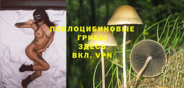 твердый Белоозёрский